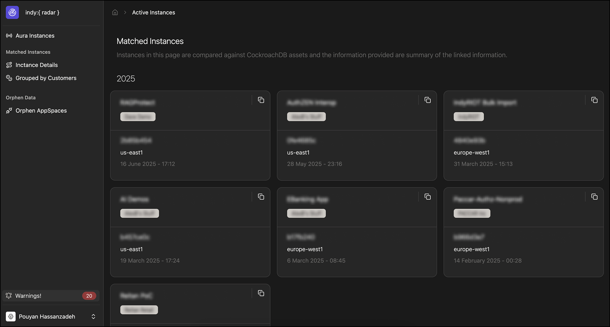 Interactive grid of matched instances with live status badges and customer grouping for instant clarity.